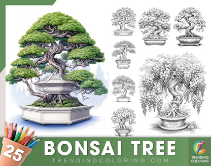 25 Bonsai Tree Grayscale Coloring Pages - Instant Download - Printable PDF Dark/Light