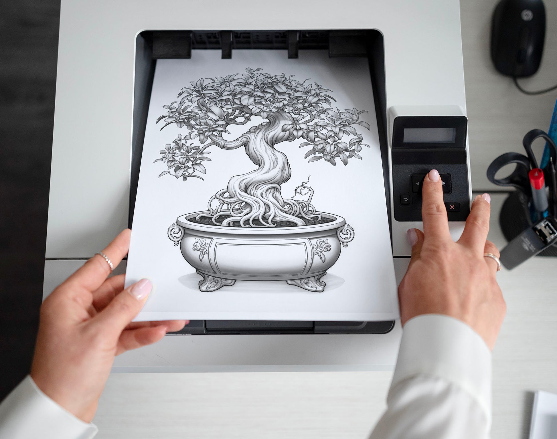 25 Bonsai Tree Grayscale Coloring Pages - Instant Download - Printable PDF Dark/Light – preview 2