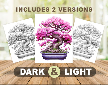 25 Bonsai Tree Grayscale Coloring Pages - Instant Download - Printable PDF Dark/Light – preview 4