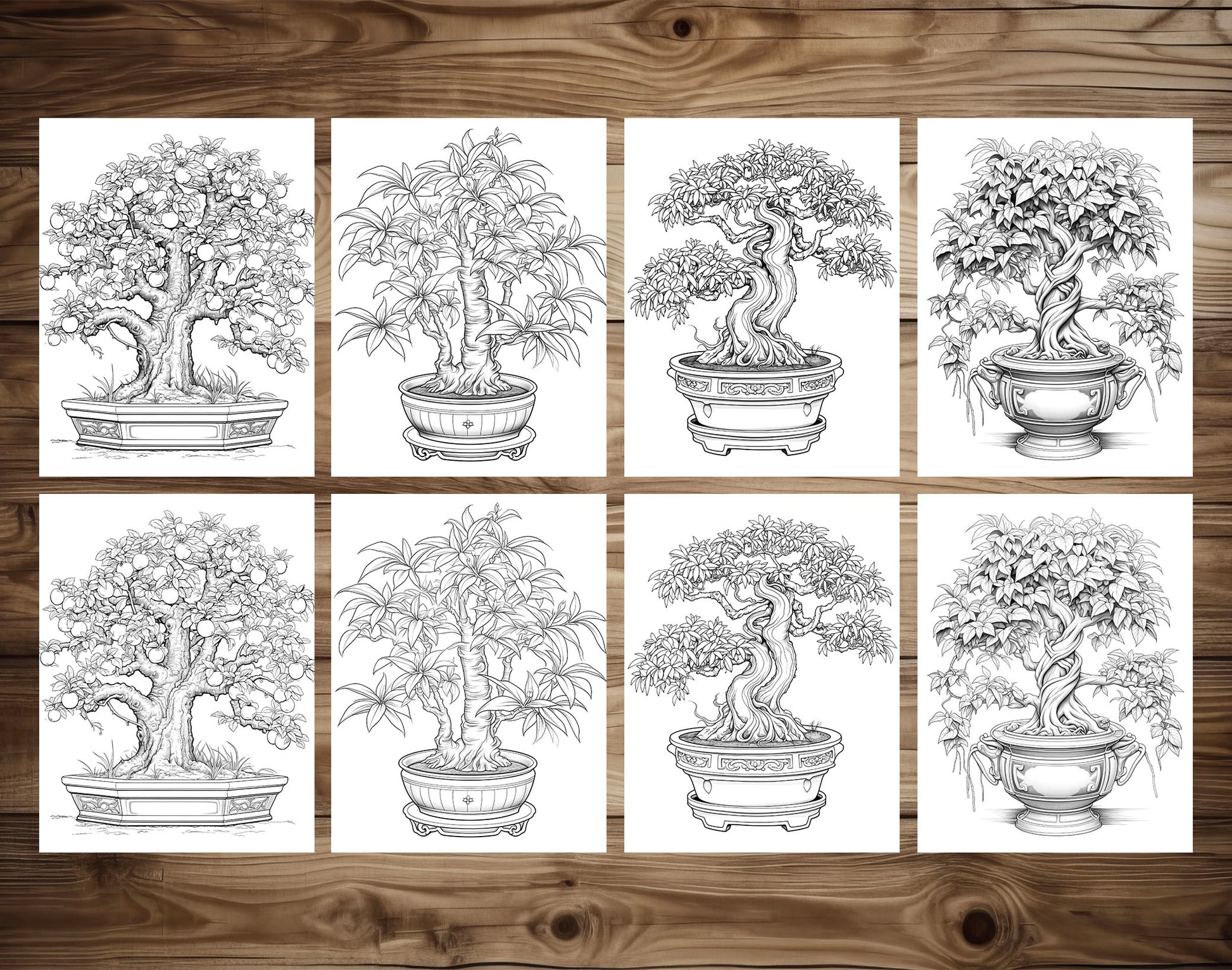 25 Bonsai Tree Grayscale Coloring Pages - Instant Download - Printable PDF Dark/Light – preview 5