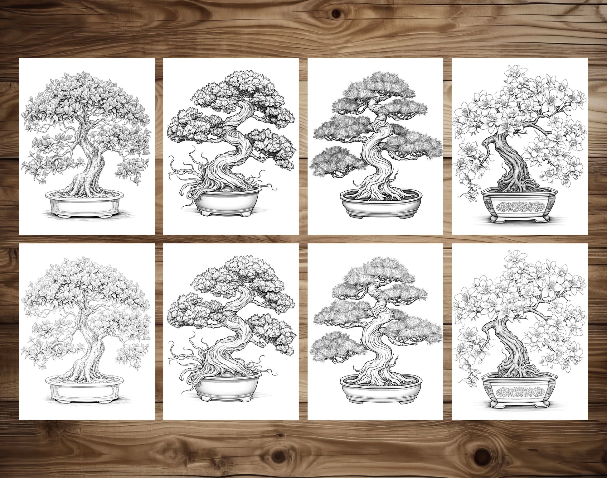 25 Bonsai Tree Grayscale Coloring Pages - Instant Download - Printable PDF Dark/Light – preview 6