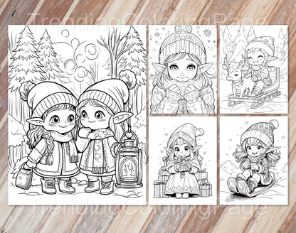25 Christmas Darling Gnomes Coloring Pages - Instant Download - Printable PDF – preview 2