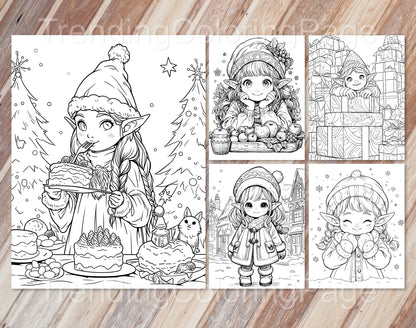 25 Christmas Darling Gnomes Coloring Pages - Instant Download - Printable PDF – preview 3