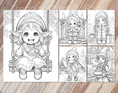 25 Christmas Darling Gnomes Coloring Pages - Instant Download - Printable PDF – preview 4