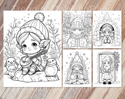 25 Christmas Darling Gnomes Coloring Pages - Instant Download - Printable PDF – preview 6