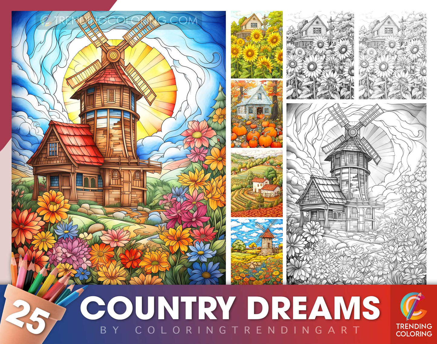 25 Country Dreams Grayscale Coloring Pages - Instant Download - Printable PDF Dark/Light