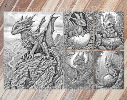 25 Dragonling Dreams Grayscale Coloring Pages - Instant Download - Printable PDF Dark/Light – preview 4