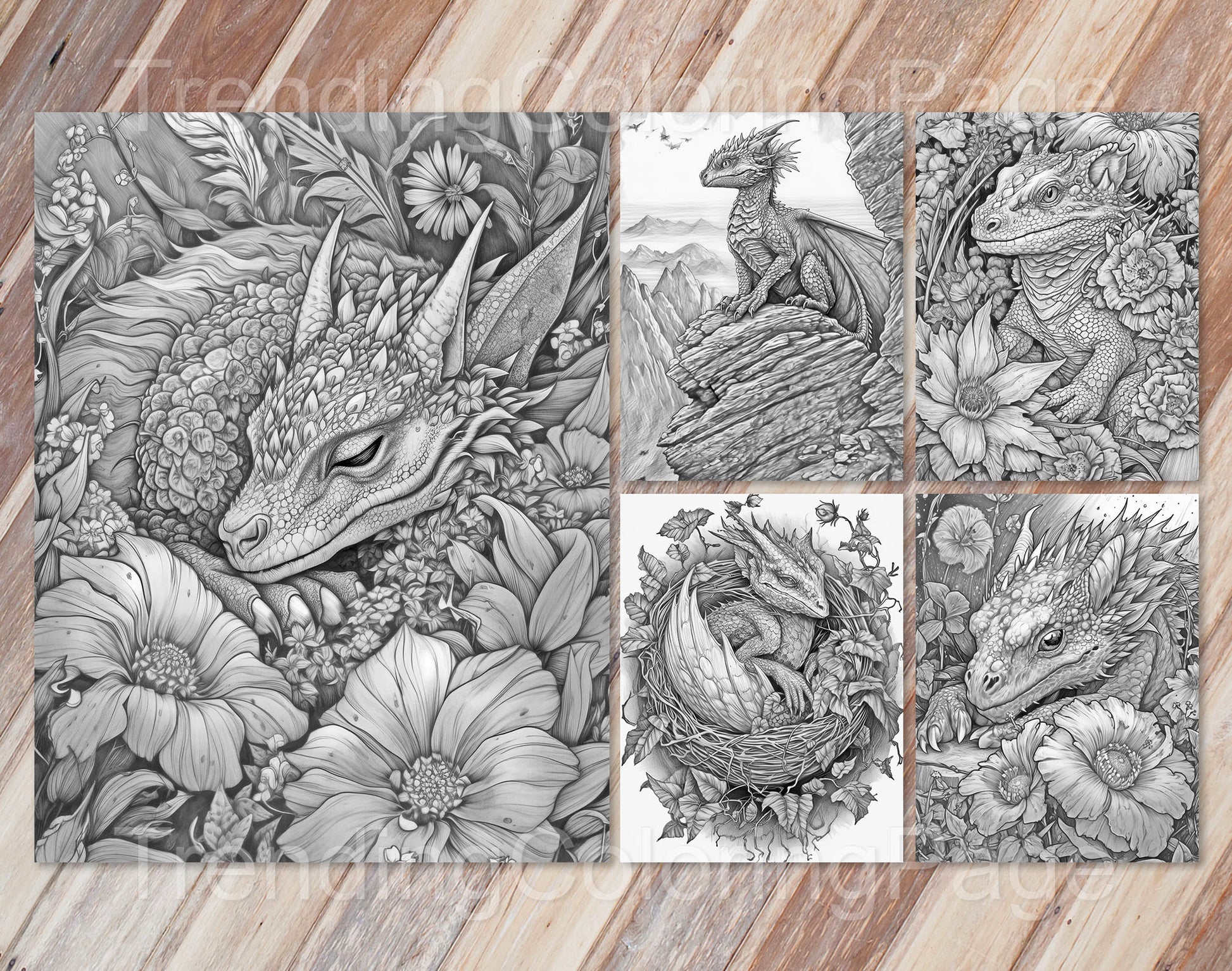 25 Dragonling Dreams Grayscale Coloring Pages - Instant Download - Printable PDF Dark/Light – preview 5