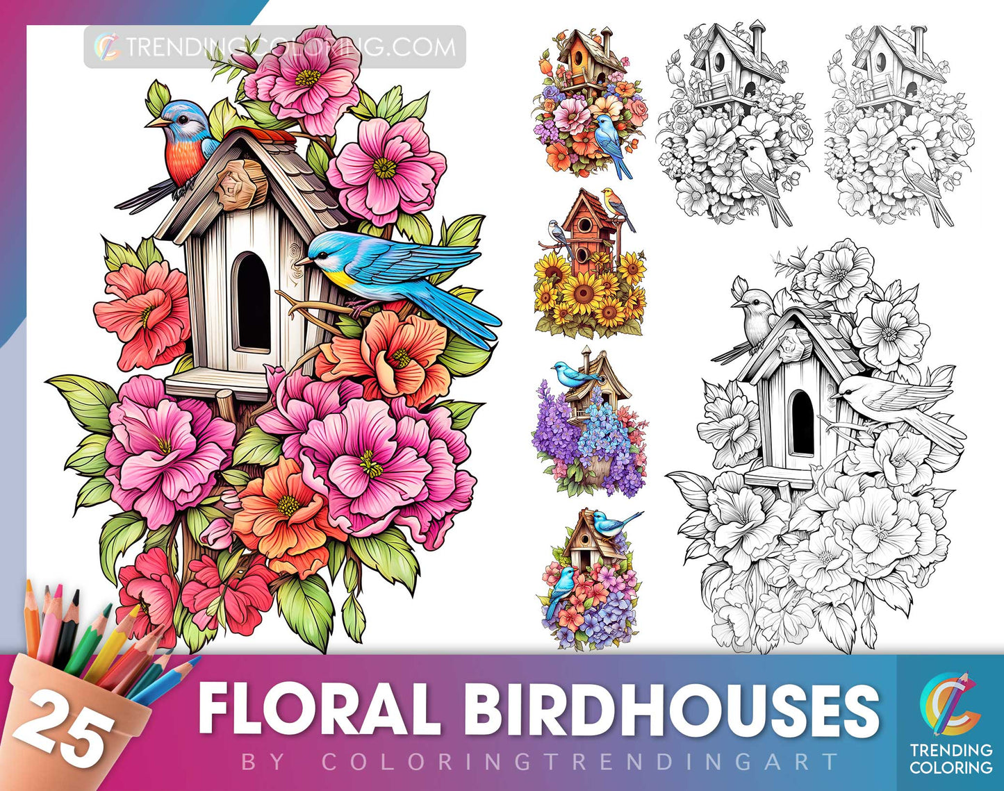 25 Floral Birdhouses Grayscale Coloring Pages - Instant Download - Printable PDF Dark/Light