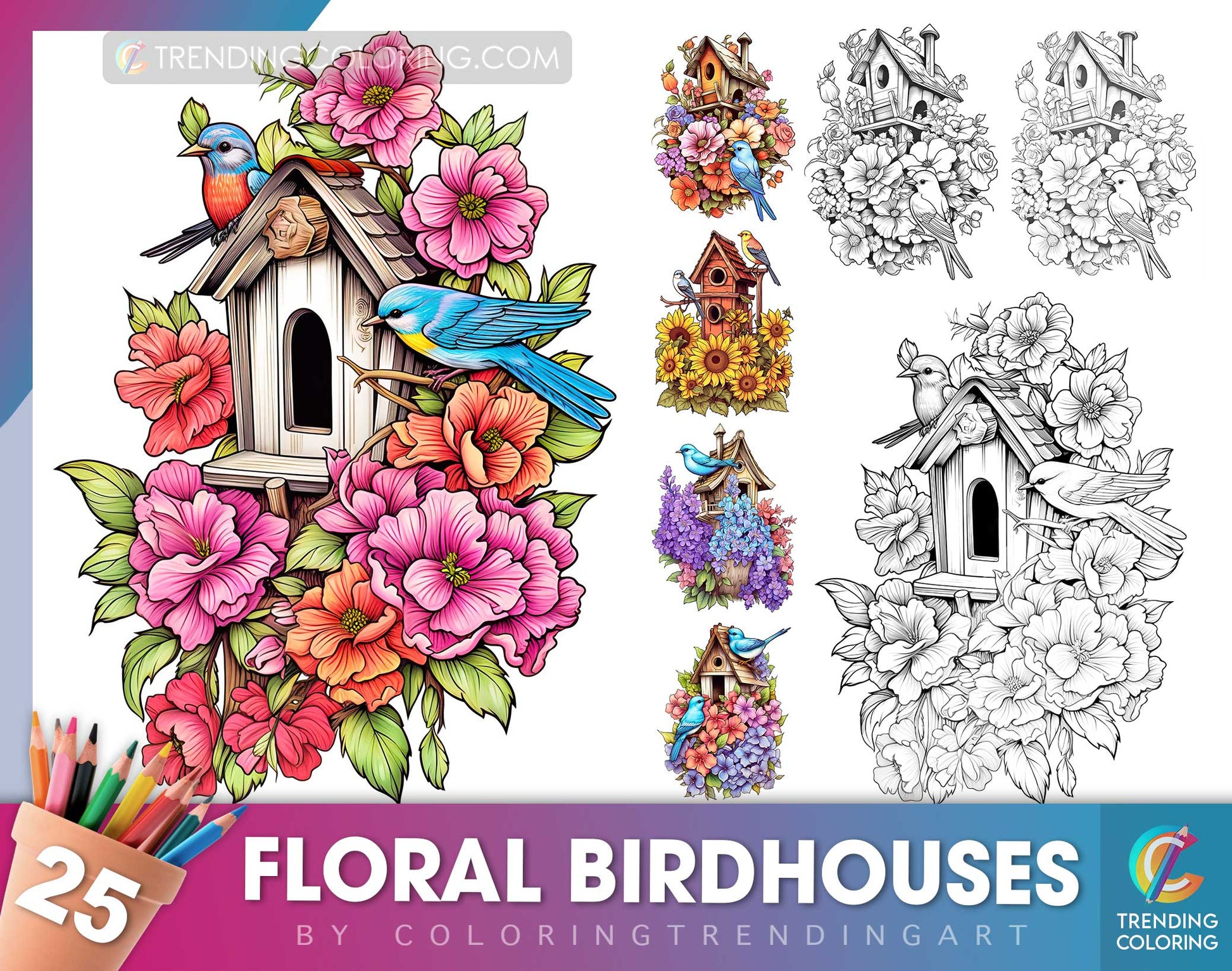 25 Floral Birdhouses Grayscale Coloring Pages - Instant Download - Printable PDF Dark/Light