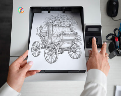 25 Floral Carriage Grayscale Coloring Pages - Instant Download, Dark/Light Illustration - Printable PDF – preview 2