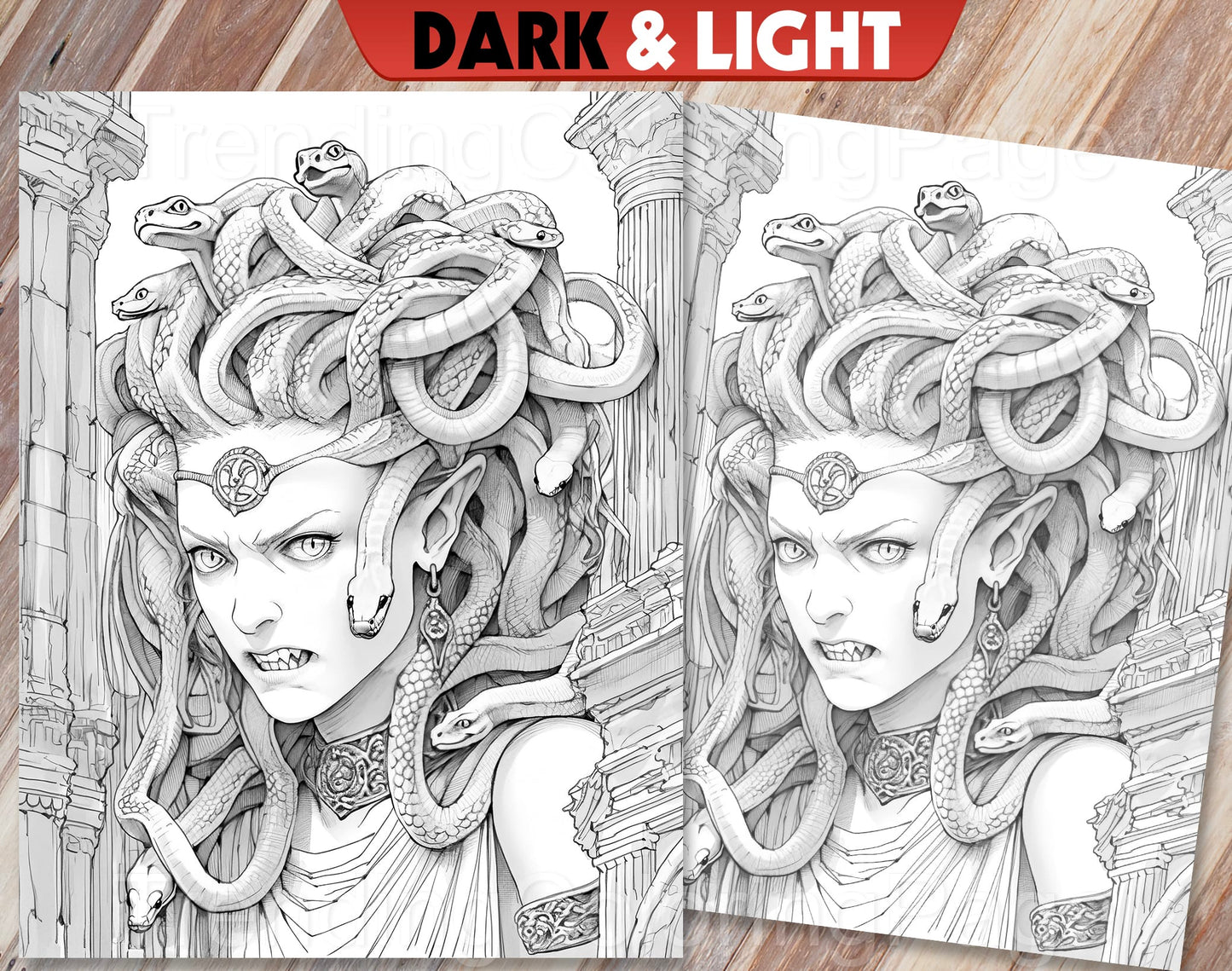 25 Greek Mythology Grayscale Coloring Pages - Instant Download - Printable PDF Dark/Light – preview 8
