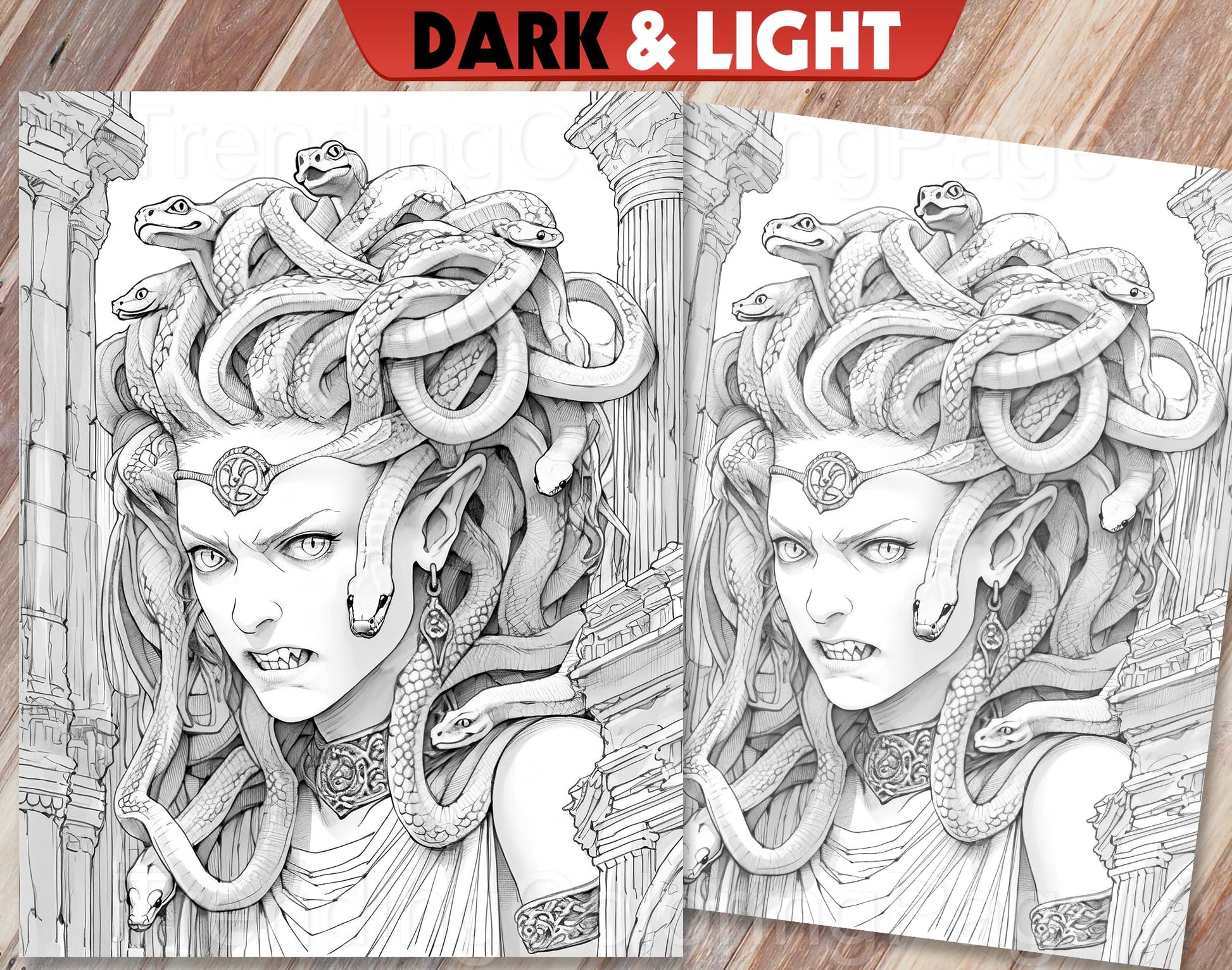 25 Greek Mythology Grayscale Coloring Pages - Instant Download - Printable PDF Dark/Light – preview 8