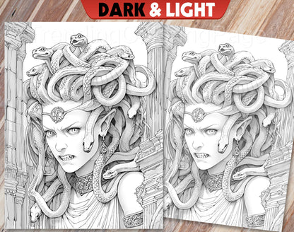 25 Greek Mythology Grayscale Coloring Pages - Instant Download - Printable PDF Dark/Light – preview 8
