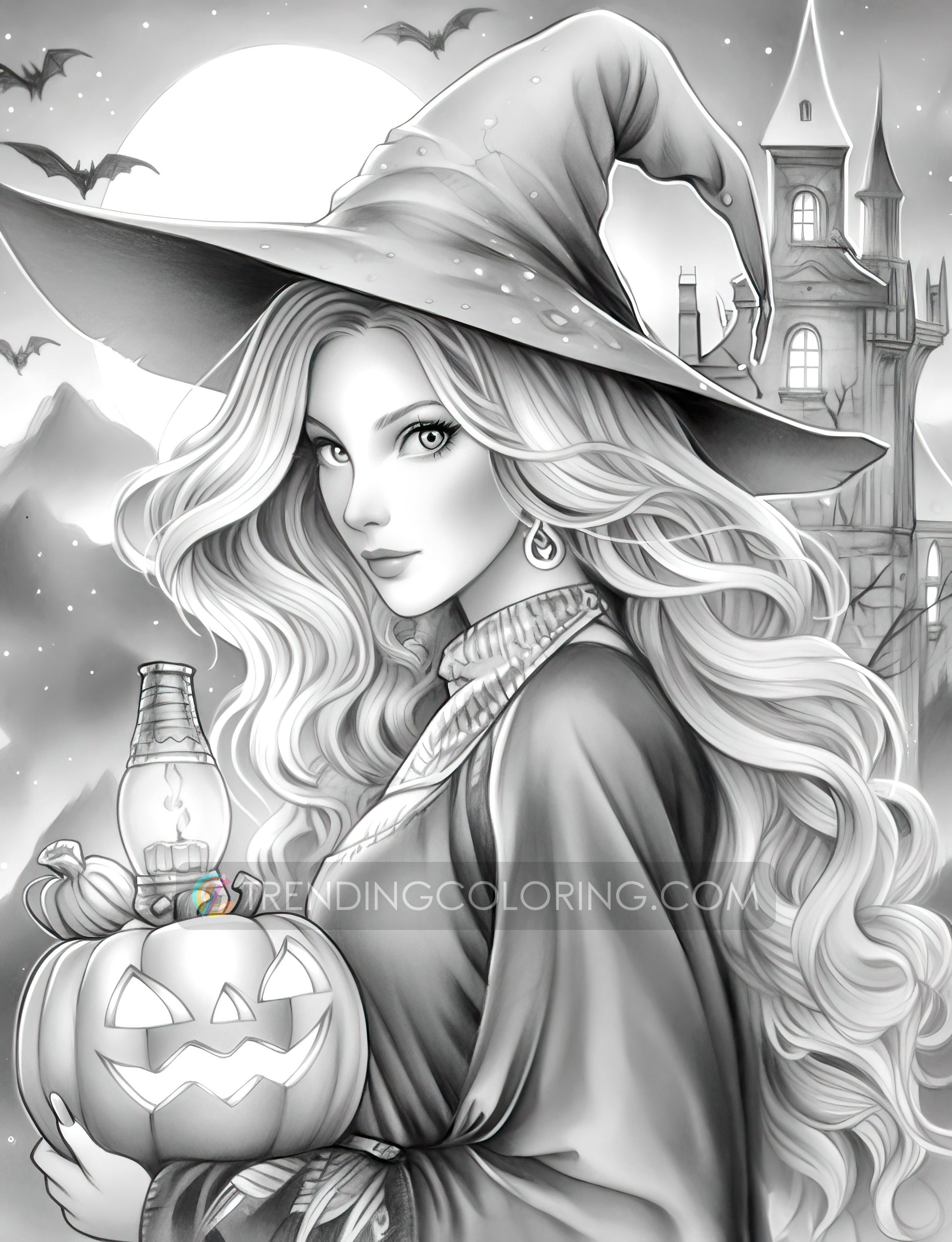 25 Halloween Witches Grayscale Coloring Pages - Halloween Coloring - Instant Download - Printable PDF Dark/Light – preview 10