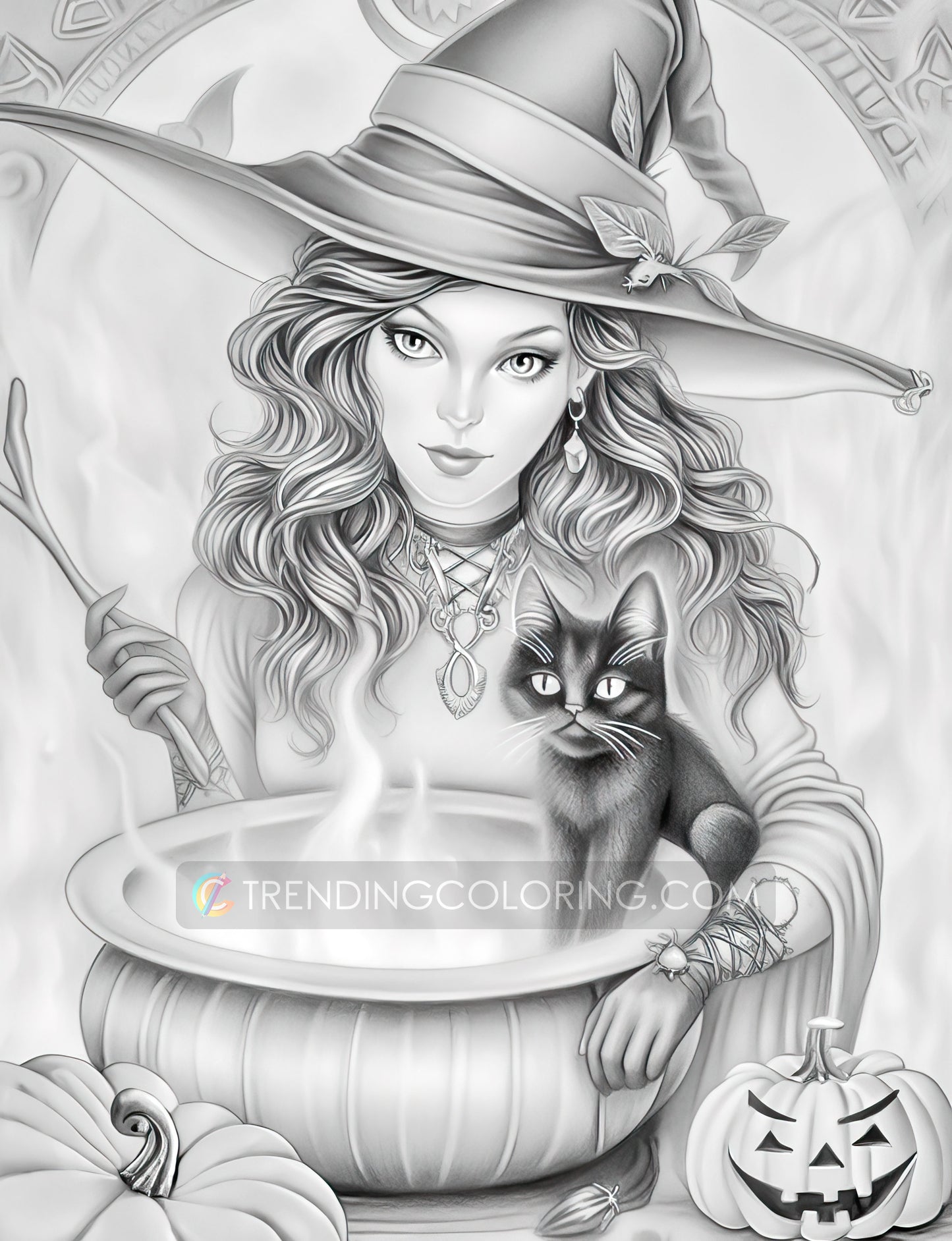 25 Halloween Witches Grayscale Coloring Pages - Halloween Coloring - Instant Download - Printable PDF Dark/Light – preview 5