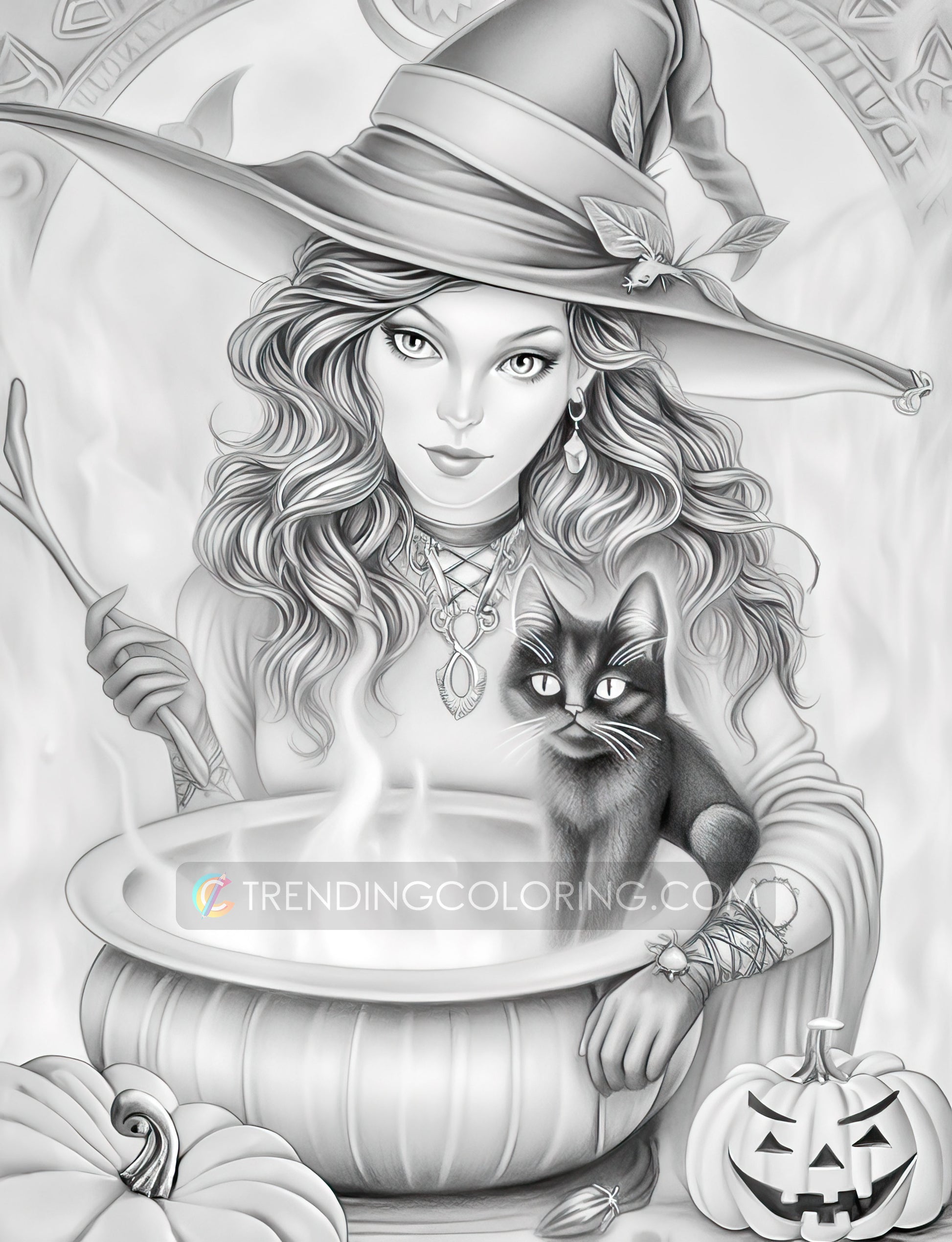 25 Halloween Witches Grayscale Coloring Pages - Halloween Coloring - Instant Download - Printable PDF Dark/Light – preview 5