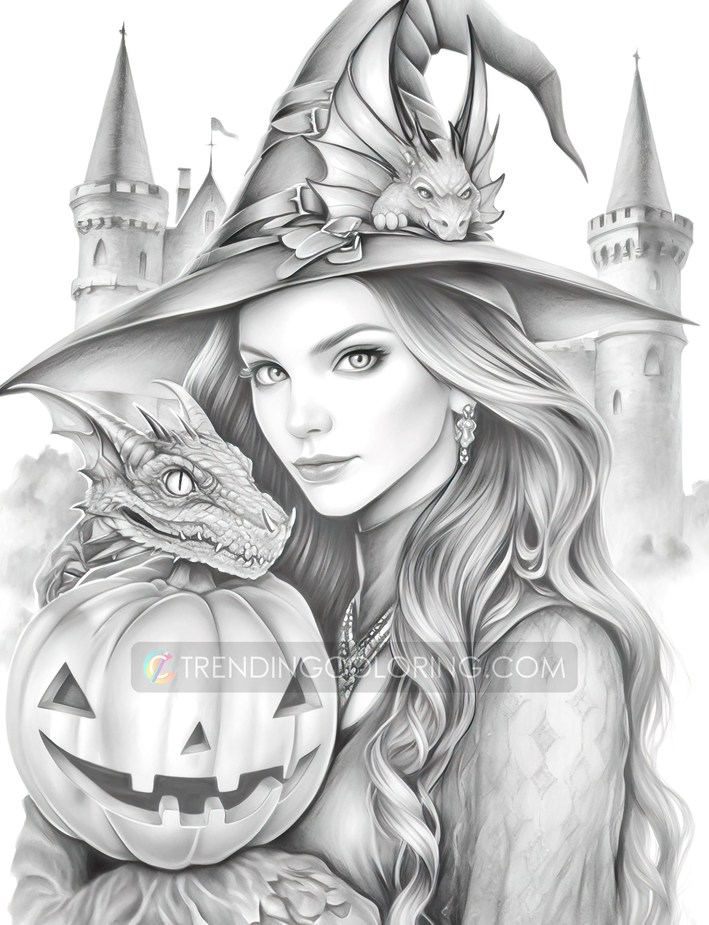 25 Halloween Witches Grayscale Coloring Pages - Halloween Coloring - Instant Download - Printable PDF Dark/Light – preview 6