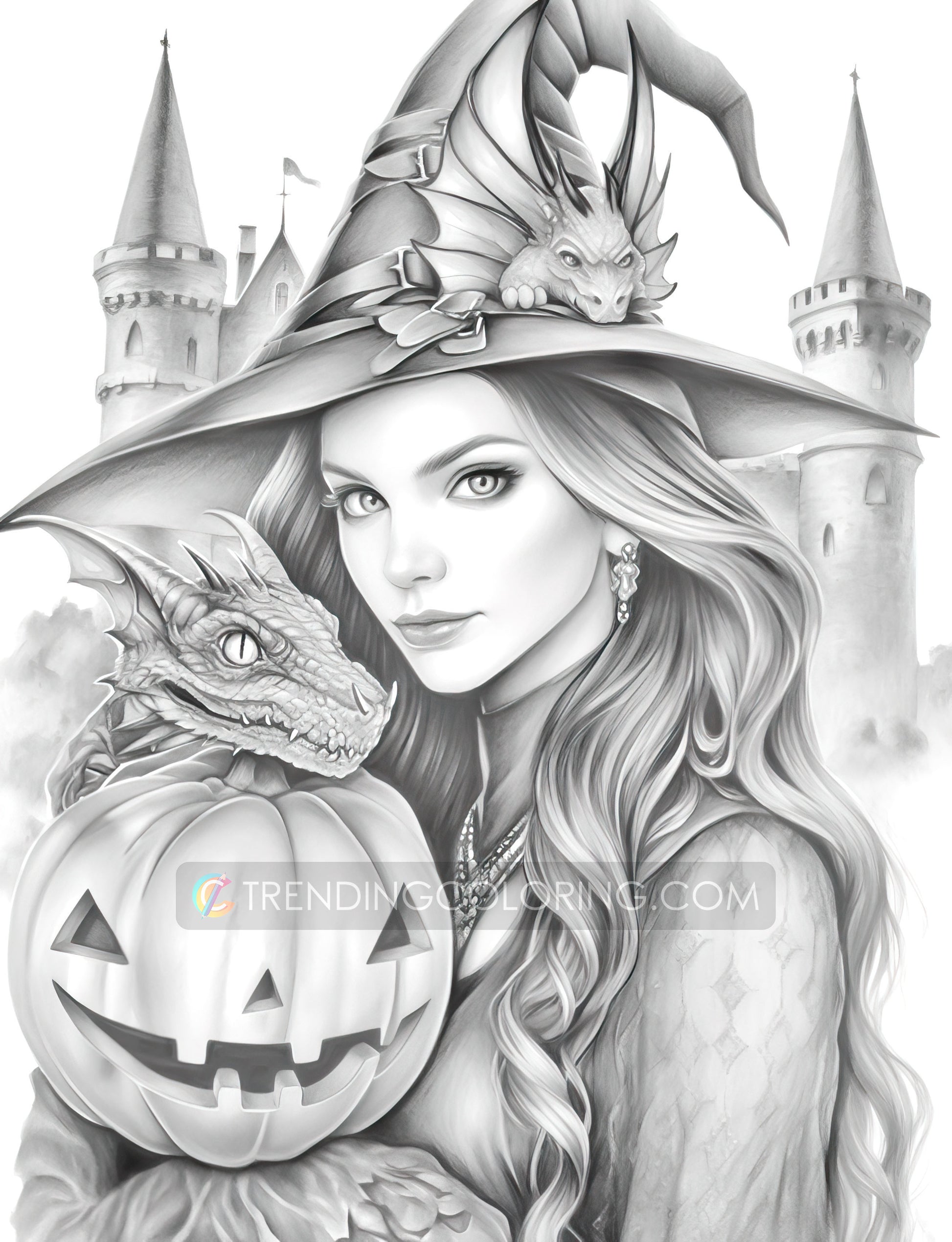 25 Halloween Witches Grayscale Coloring Pages - Halloween Coloring - Instant Download - Printable PDF Dark/Light – preview 6