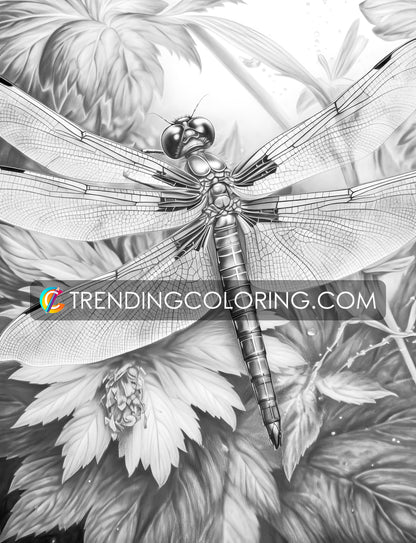 25 Insectopia Grayscale Coloring Pages - Instant Download - Printable PDF Dark/Light – preview 2