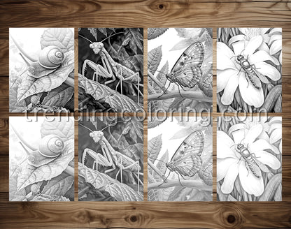 25 Insectopia Grayscale Coloring Pages - Instant Download - Printable PDF Dark/Light – preview 4