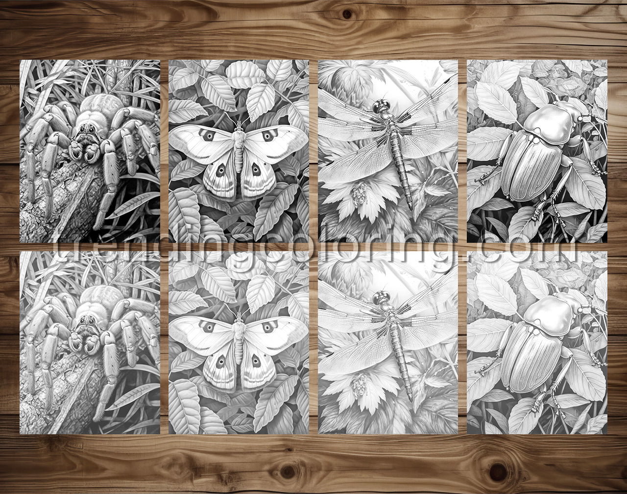 25 Insectopia Grayscale Coloring Pages - Instant Download - Printable PDF Dark/Light – preview 5