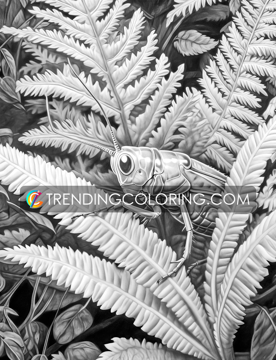 25 Insectopia Grayscale Coloring Pages - Instant Download - Printable PDF Dark/Light – preview 7