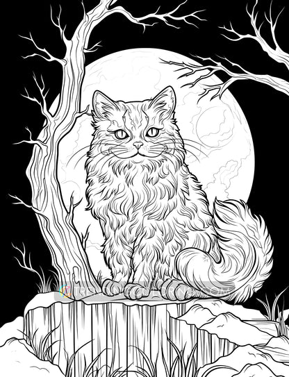 25 Meowloween Coloring Pages - Halloween Coloring - Instant Download - Printable PDF – preview 5