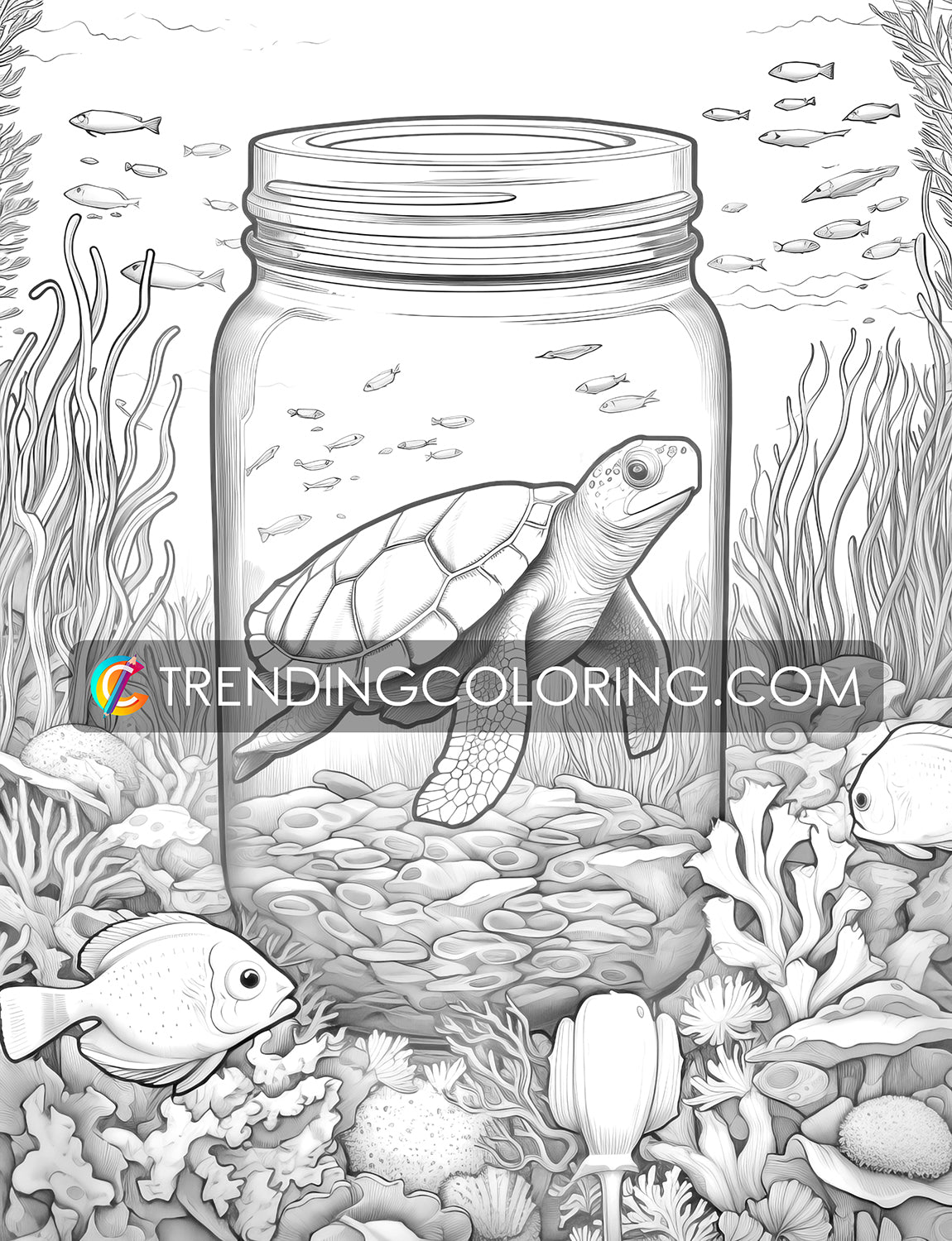 25 Ocean In Jar Grayscale Coloring Pages - Instant Download - Printable PDF Dark/Light – preview 4