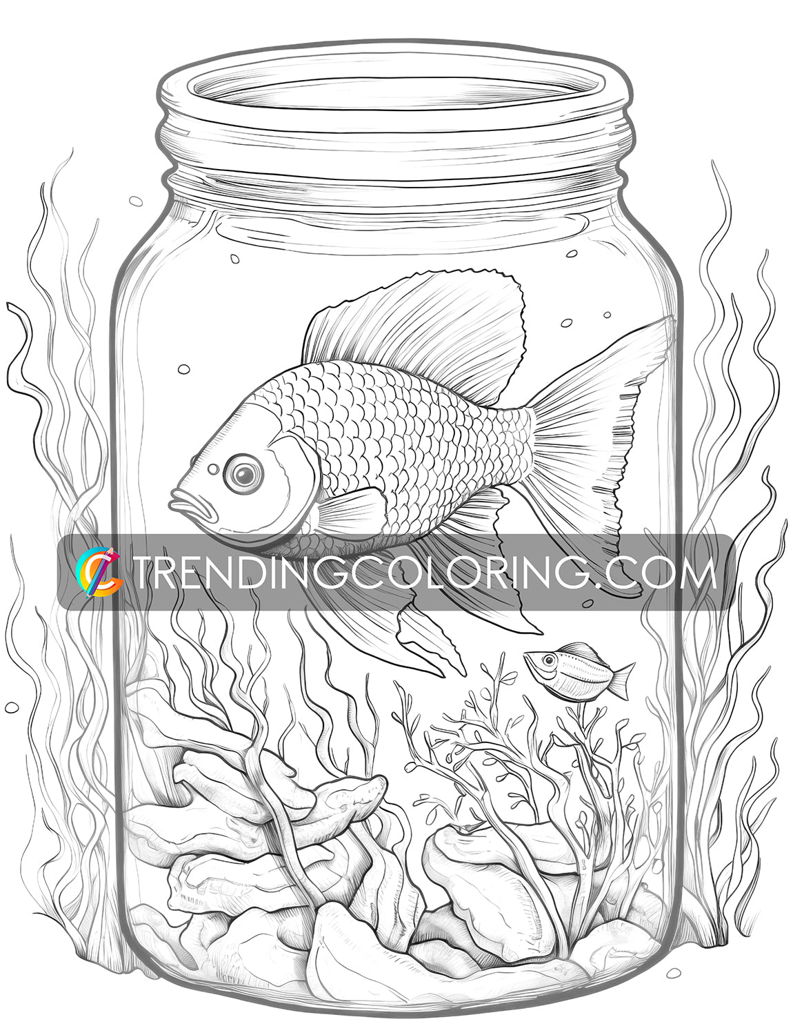 25 Ocean In Jar Grayscale Coloring Pages - Instant Download - Printable PDF Dark/Light – preview 5