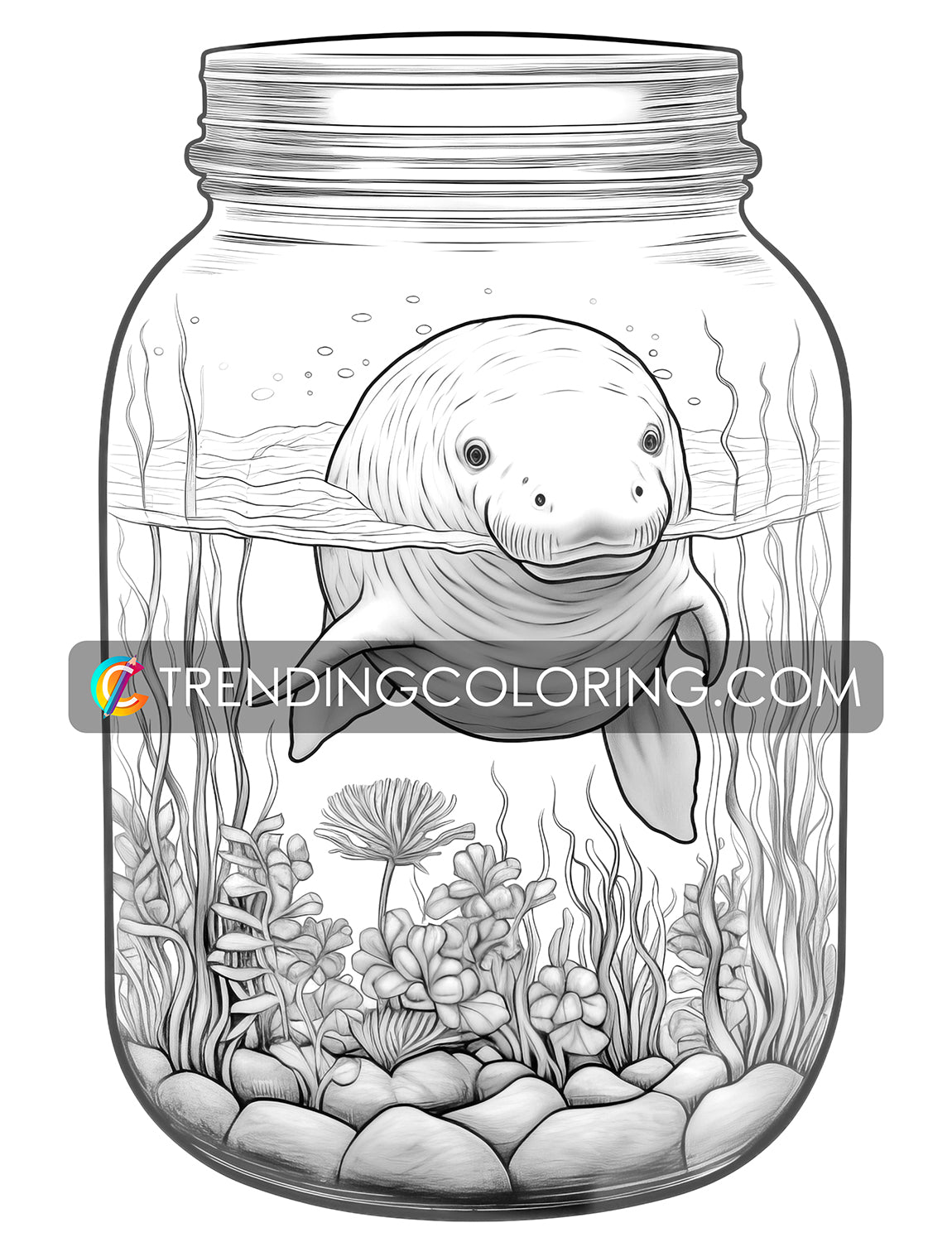 25 Ocean In Jar Grayscale Coloring Pages - Instant Download - Printable PDF Dark/Light – preview 7
