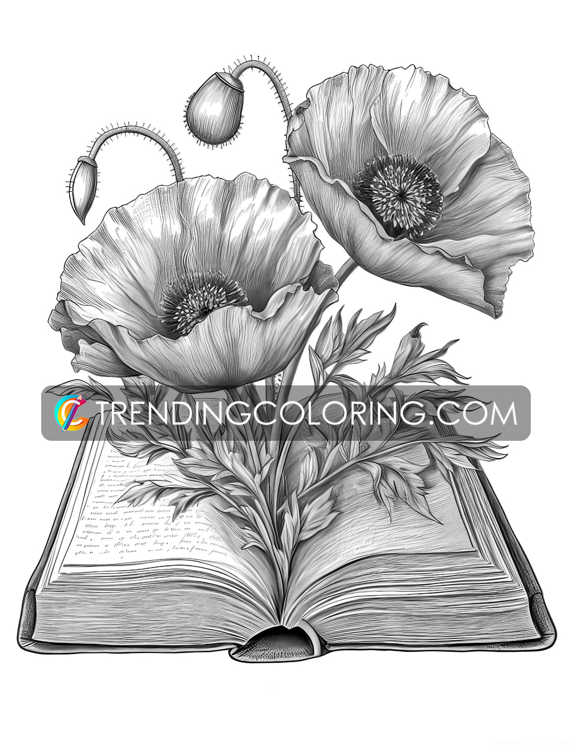 25 Open Book Flowers Grayscale Coloring Pages - Instant Download - Printable PDF Dark/Light – preview 4
