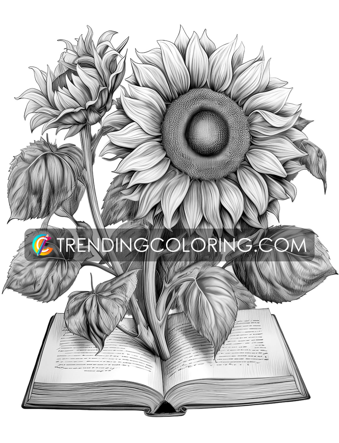 25 Open Book Flowers Grayscale Coloring Pages - Instant Download - Printable PDF Dark/Light – preview 7