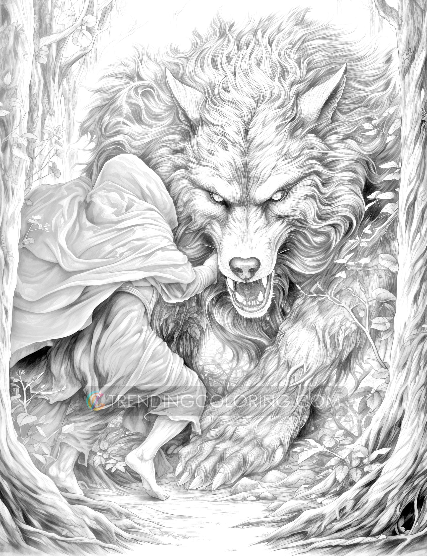 25 Red Riding Hood's Journey Grayscale Coloring Pages - Instant Download - Printable PDF Dark/Light – preview 10