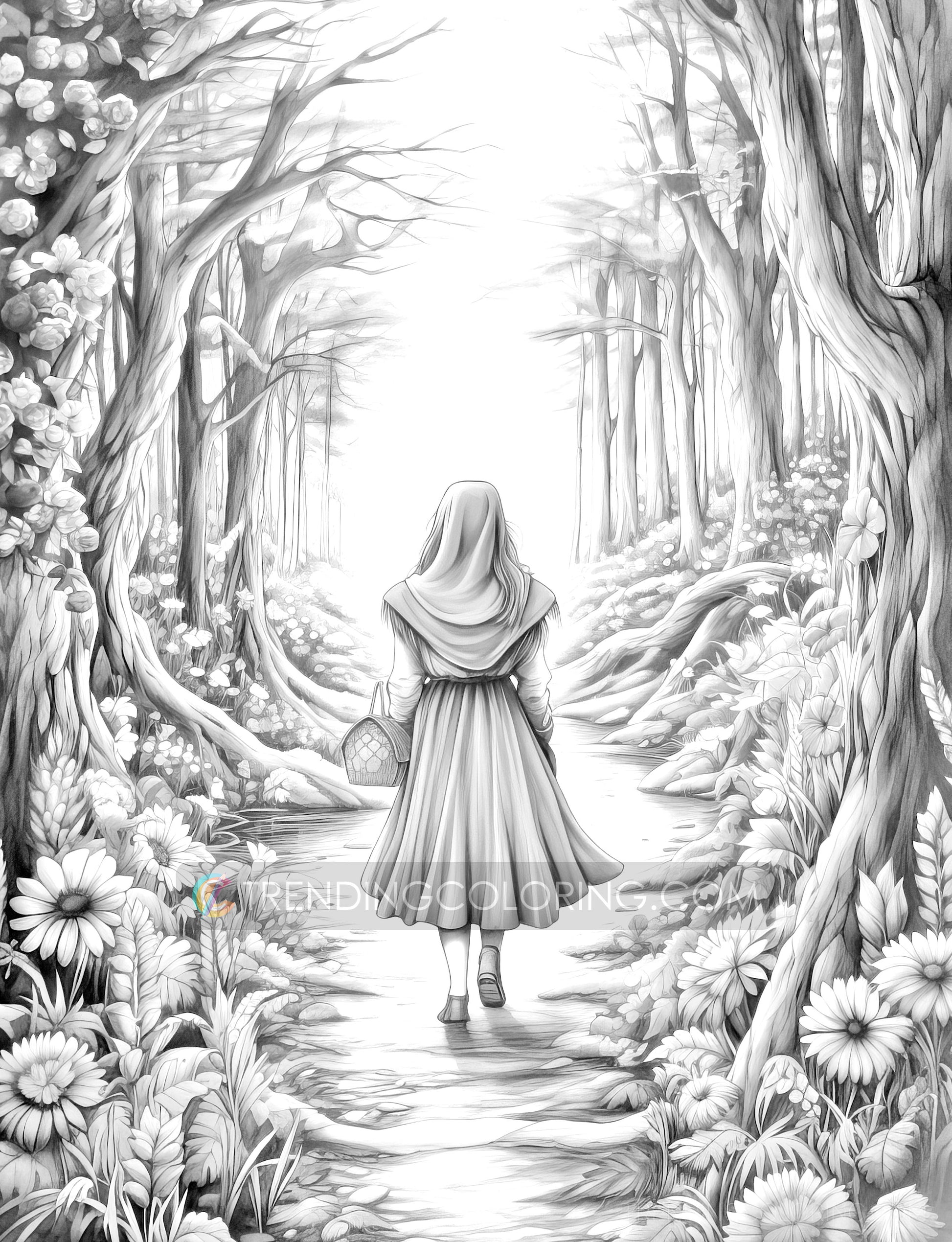 25 Red Riding Hood's Journey Grayscale Coloring Pages - Instant Download - Printable PDF Dark/Light – preview 5