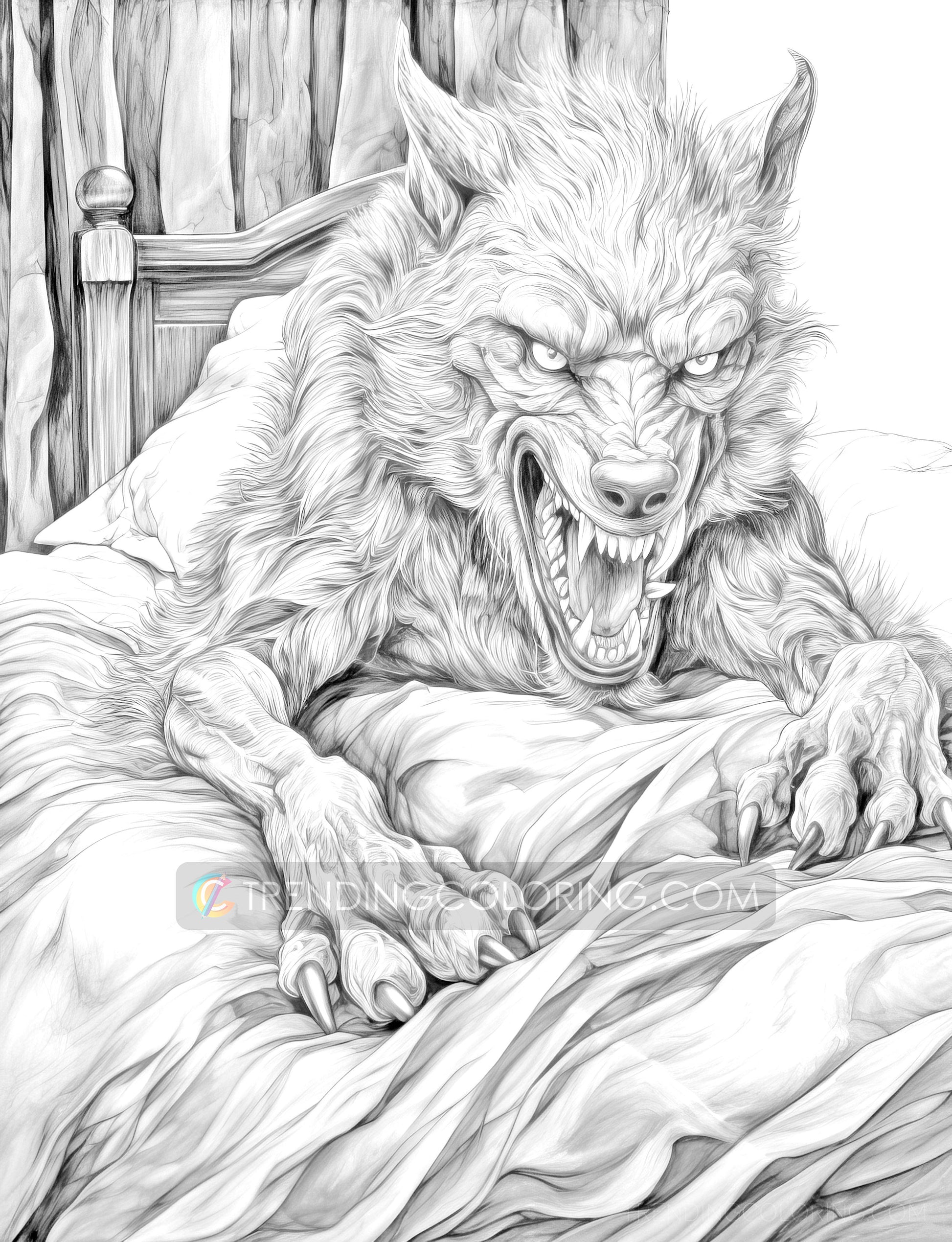 25 Red Riding Hood's Journey Grayscale Coloring Pages - Instant Download - Printable PDF Dark/Light – preview 8