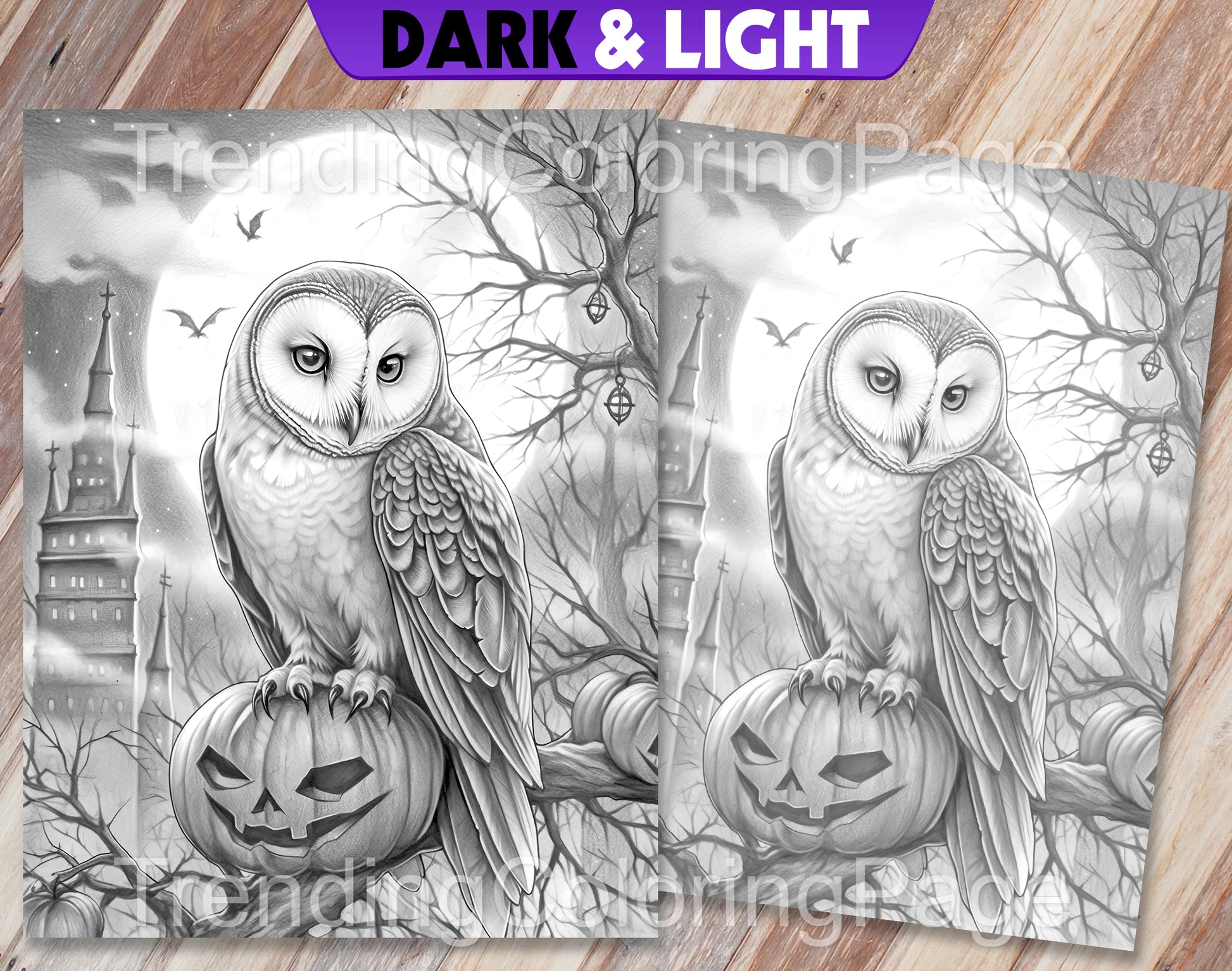 25 Vintage Halloween Grayscale Coloring Pages - Instant Download - Printable PDF Dark/Light – preview 9