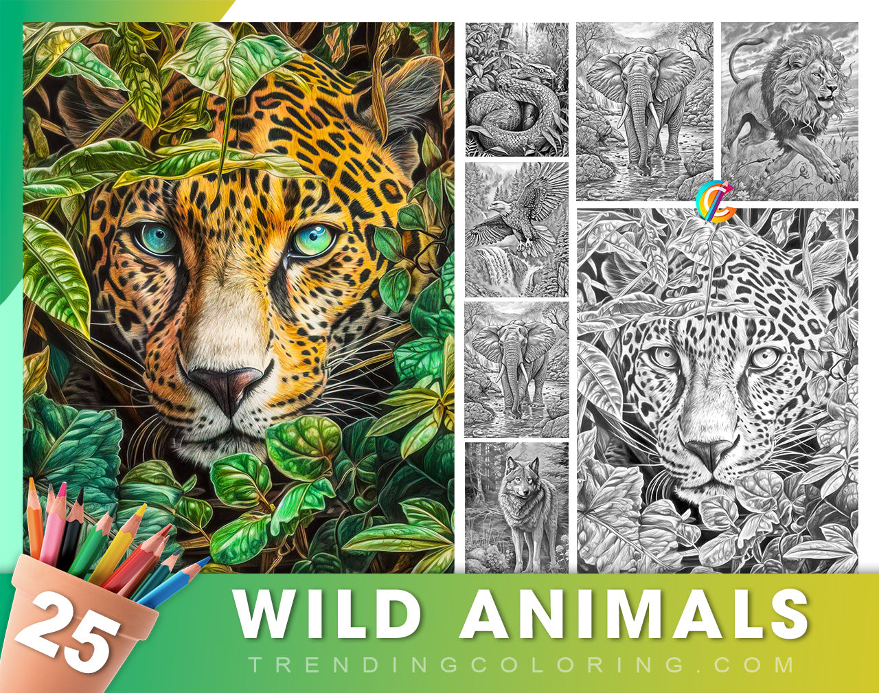 25 Wild Animal Grayscale Coloring Pages - Instant Download - Printable PDF