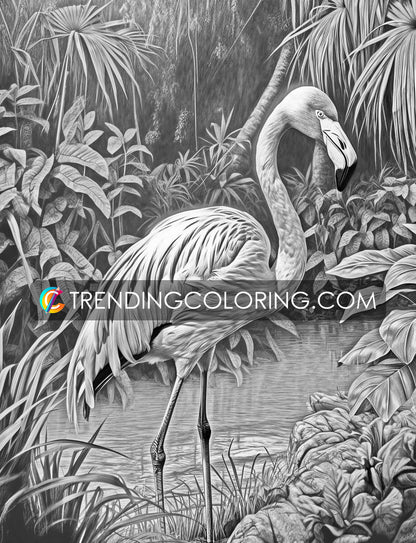 25 Wild Animal Grayscale Coloring Pages - Instant Download - Printable PDF – preview 10