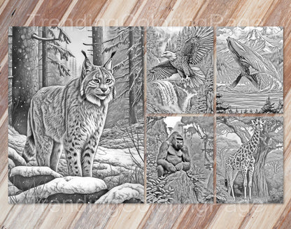 25 Wild Animal Grayscale Coloring Pages - Instant Download - Printable PDF – preview 2