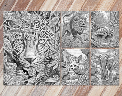 25 Wild Animal Grayscale Coloring Pages - Instant Download - Printable PDF – preview 3