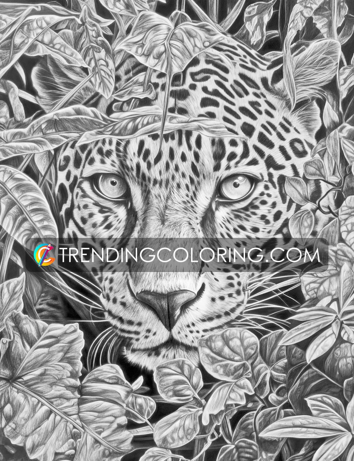 25 Wild Animal Grayscale Coloring Pages - Instant Download - Printable PDF – preview 6