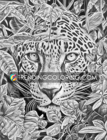 25 Wild Animal Grayscale Coloring Pages - Instant Download - Printable PDF – preview 6