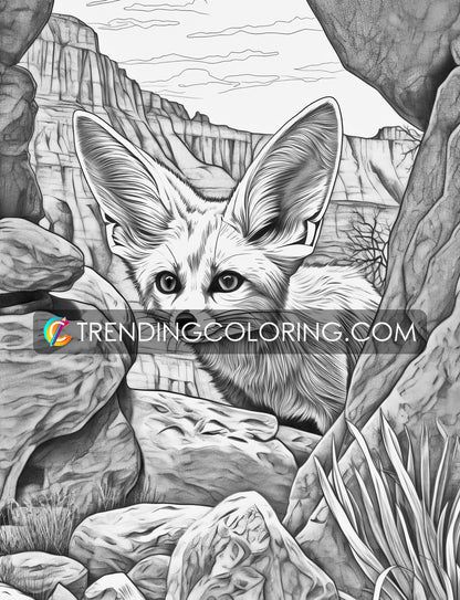 25 Wild Animal Grayscale Coloring Pages - Instant Download - Printable PDF – preview 7