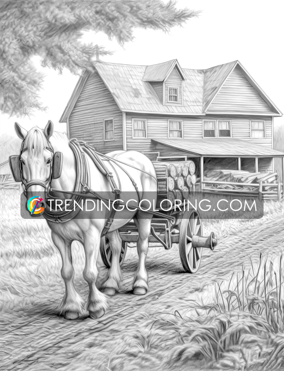 30 Country Farm Grayscale Coloring Pages - Instant Download - Printable PDF
