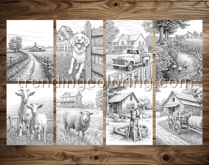 30 Country Farm Grayscale Coloring Pages - Instant Download - Printable PDF – preview 4