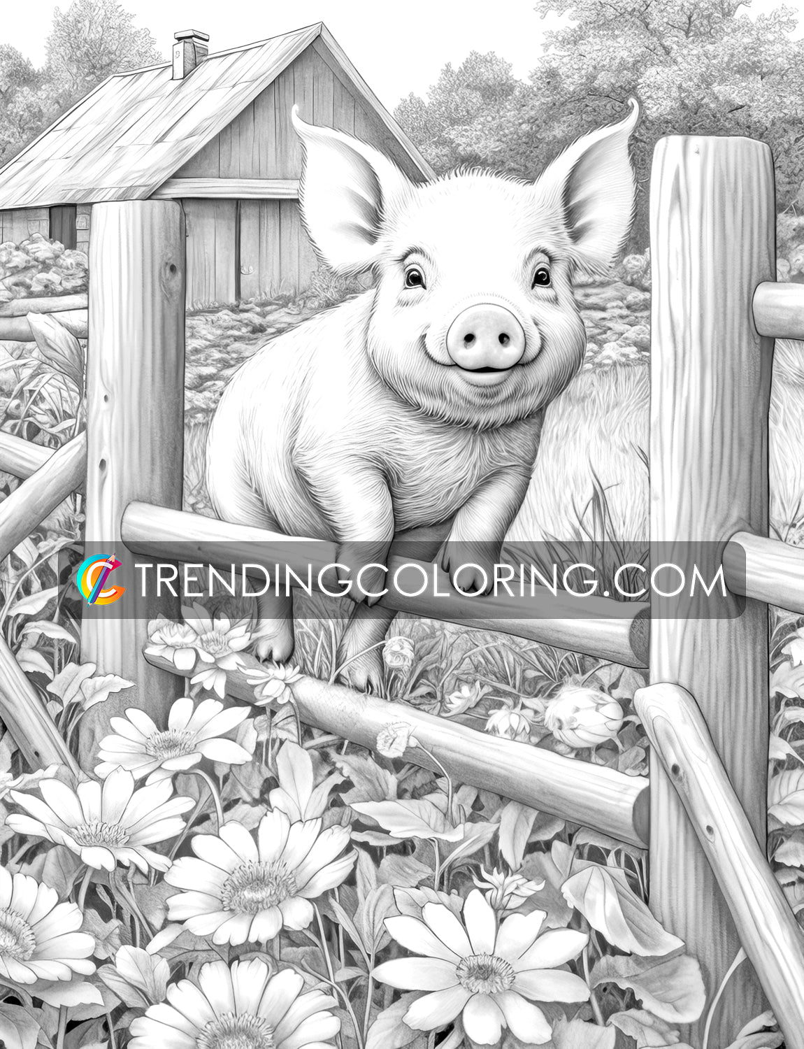 30 Country Farm Grayscale Coloring Pages - Instant Download - Printable PDF – preview 8