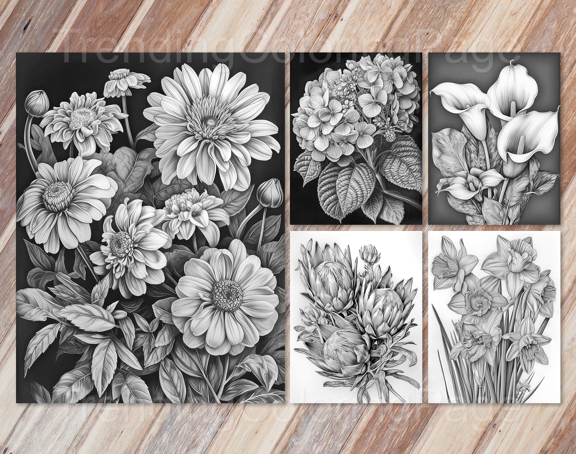 30 Enchanted Blooms Grayscale Coloring Pages - Instant Download - Printable PDF Dark/Light – preview 10