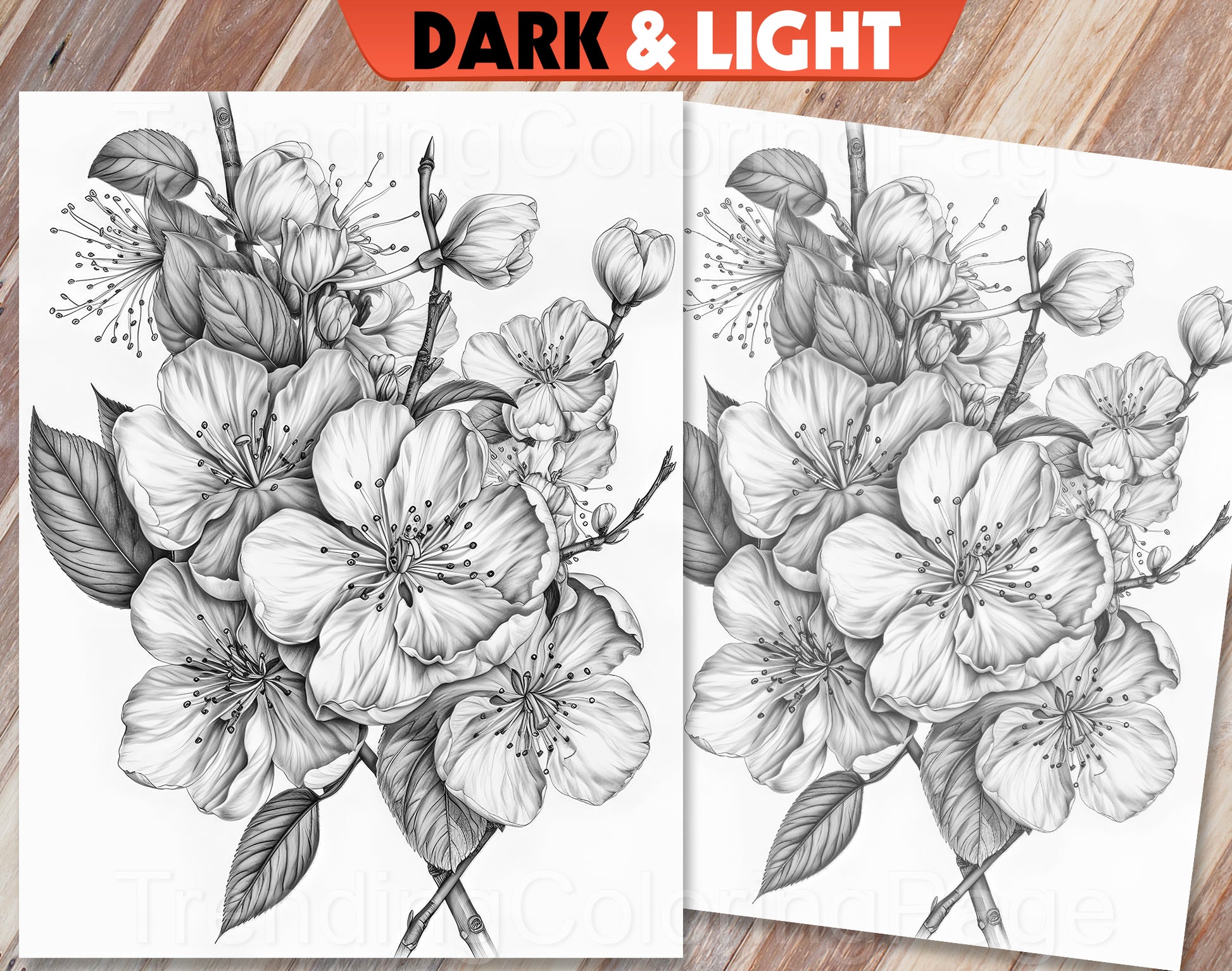 30 Enchanted Blooms Grayscale Coloring Pages - Instant Download - Printable PDF Dark/Light – preview 3