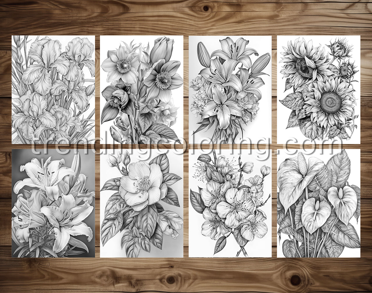 30 Enchanted Blooms Grayscale Coloring Pages - Instant Download - Printable PDF Dark/Light – preview 4